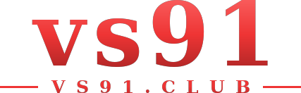 vs91 logo